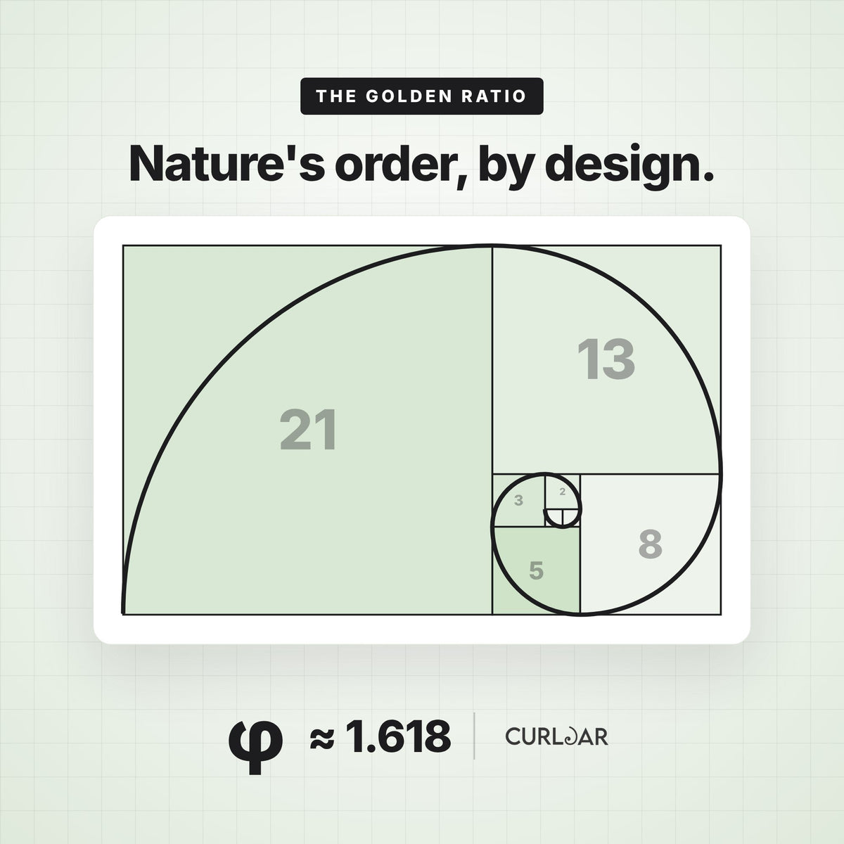 Bringing Order to the Chaotic Beauty of Nature 🌿